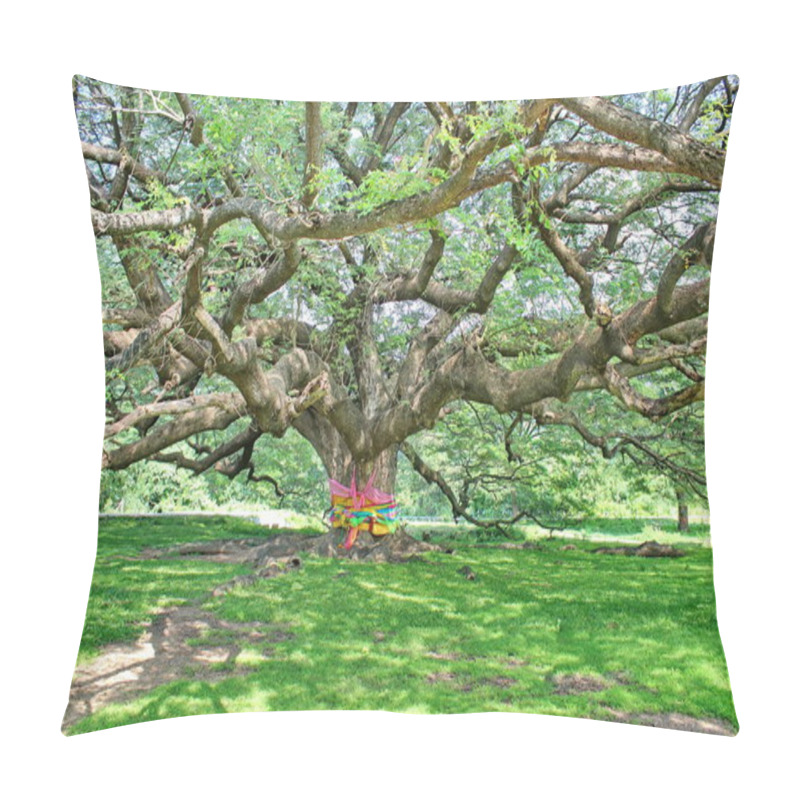 Personality  A Large Tree, 100 Years Old Or Jamjuree In Kanchanaburi, Thailand, Open To Tourists. Pillow Covers