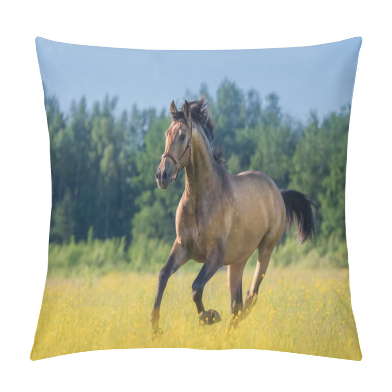 Personality  Andalusian Horse In Summer Blooming Field. Pillow Covers