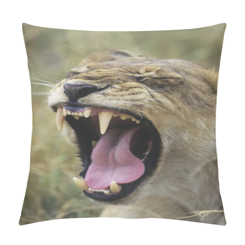 Personality  Lioness Yawning Pillow Covers