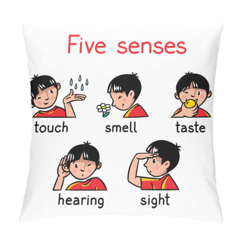 Personality  Five Senses Icon Set Pillow Covers