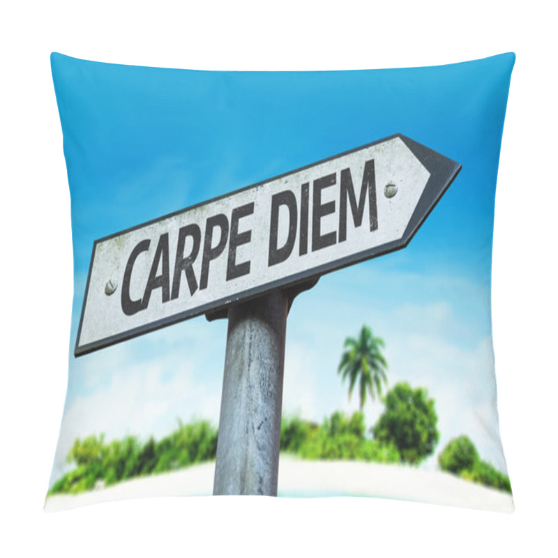 Personality  Carpe Diem Sign Pillow Covers