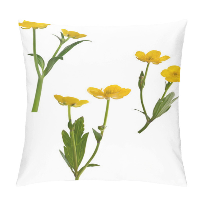 Personality  Yellow Buttercup Flowers Pillow Covers