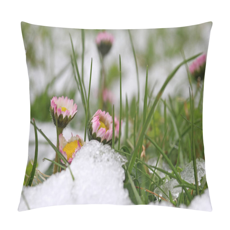 Personality  Snowfall In Spring. Daisy In The Meadow Under Cold Snow Pillow Covers