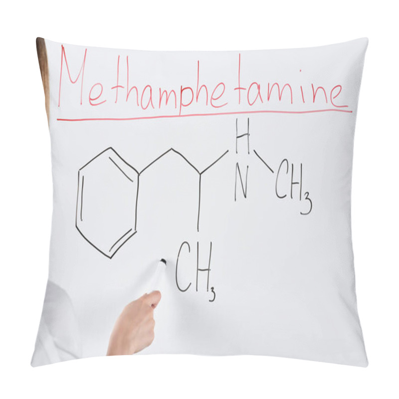 Personality  Cropped View Of Woman Pointing With Marker At White Board  Pillow Covers