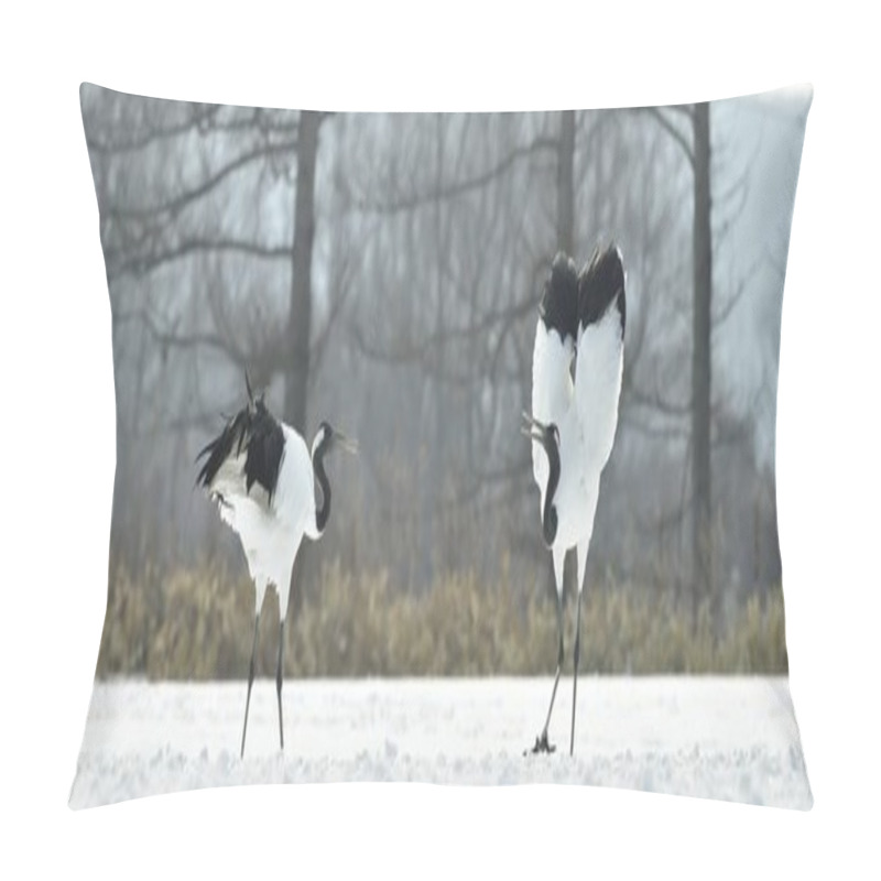 Personality  The Ritual Marriage Dance Of Cranes. The Red-crowned Cranes. Scientific Name: Grus Japonensis, Also Called The Japanese Crane Or Manchurian Crane, Is A Large East Asian Crane. Pillow Covers