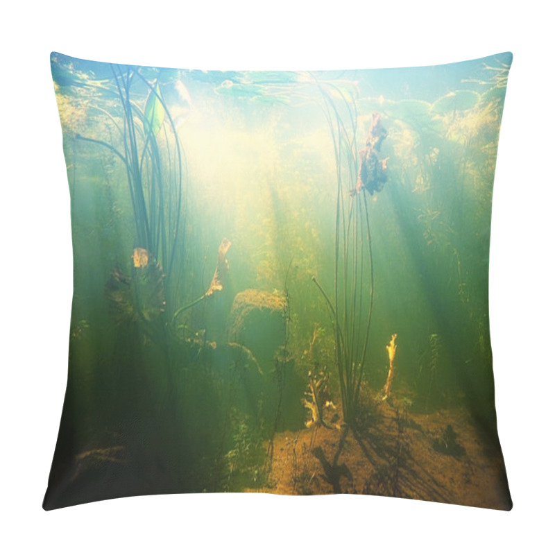 Personality  Beautiful Underwater View Of A Pond Pillow Covers