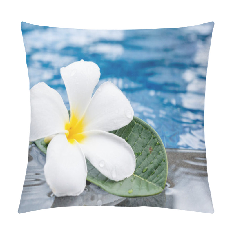 Personality  Plumeria Flowers Frangipani Near A Water Pool Pillow Covers