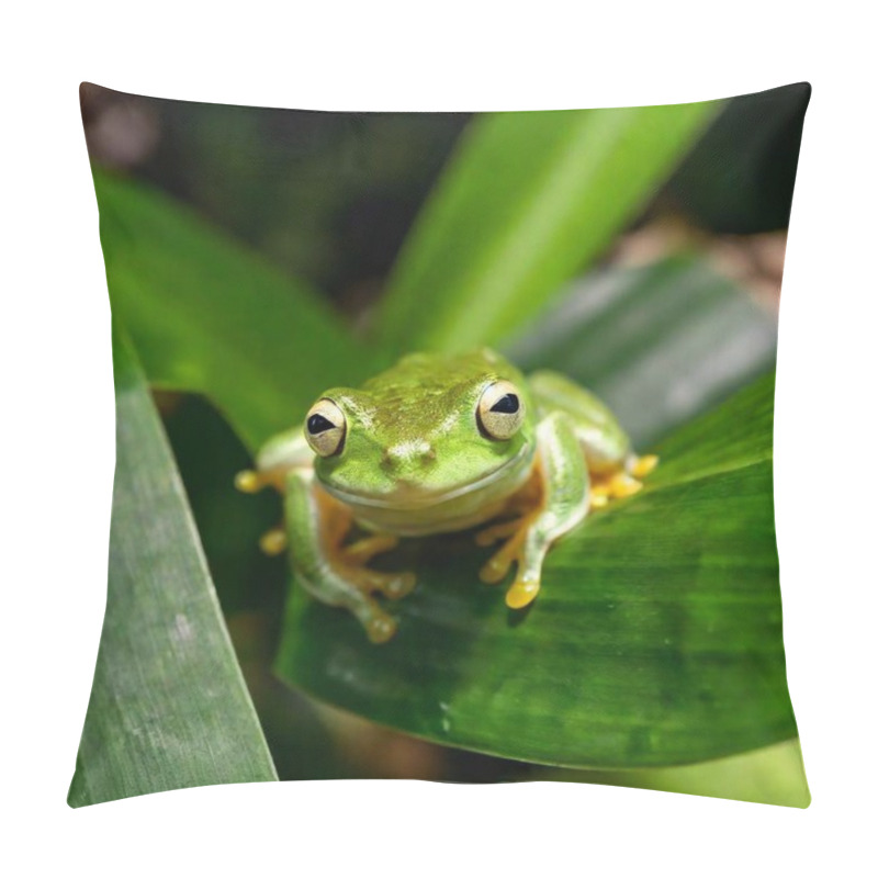 Personality  Closeup Shot Of A Frog Sitting On The Green Leaf  Pillow Covers