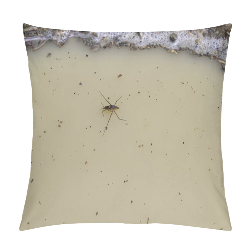 Personality  Water Strider Navigating A Murky Puddle Near The Shoreline Pillow Covers