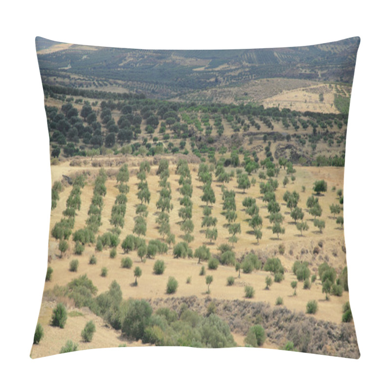 Personality  Crete, Greece, Olive Trees, Plantation Pillow Covers