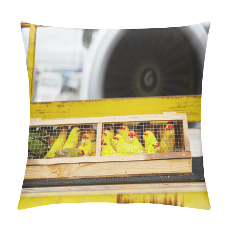 Personality  Parrots For Sale Pillow Covers