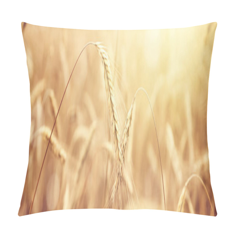 Personality  Sunny Golden Wheat Field Pillow Covers