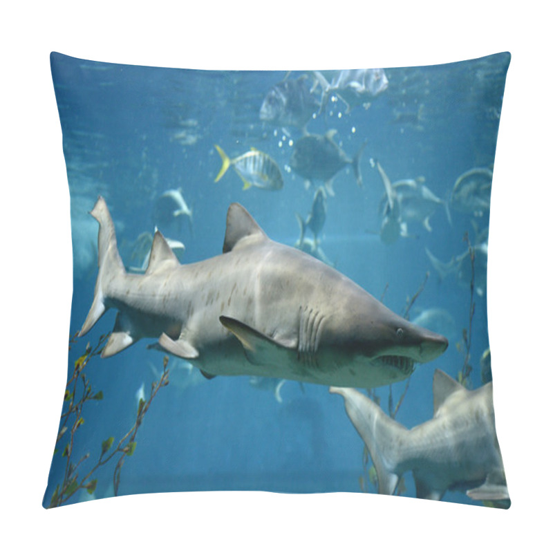 Personality  Shark Fish, Bull Shark, Marine Fish Underwater Pillow Covers