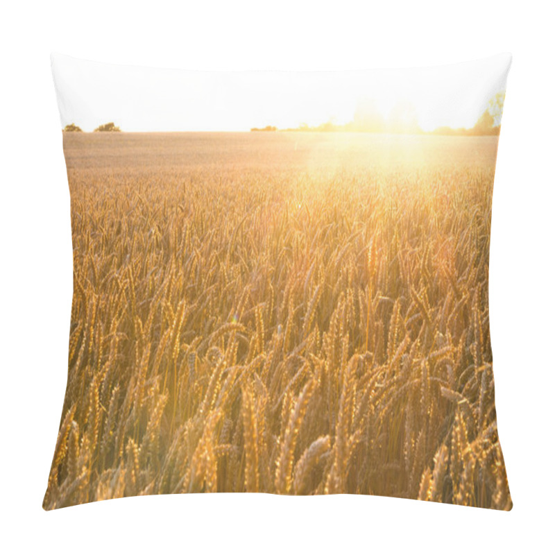 Personality  Golden Wheat Field With Sunrays  Pillow Covers