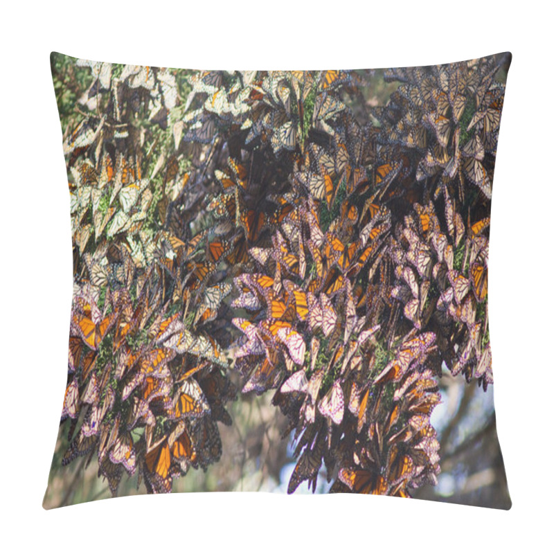 Personality  Monarchs Butterflies Pillow Covers