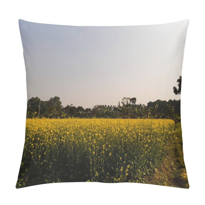 Personality  Green Mustard Land And Yellow Flower, Blue Sky And Green Background. Pillow Covers