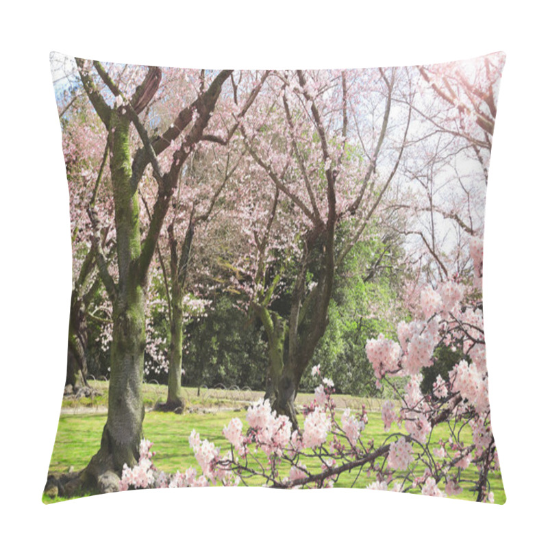 Personality  Japanese Hanami Festival When People Enjoy Sakura Blossom. Cherry Blossoming Season In Japan. Blooming Sakura Trees In Koishikawa Korakuen Garden, Okayama, Japan Pillow Covers