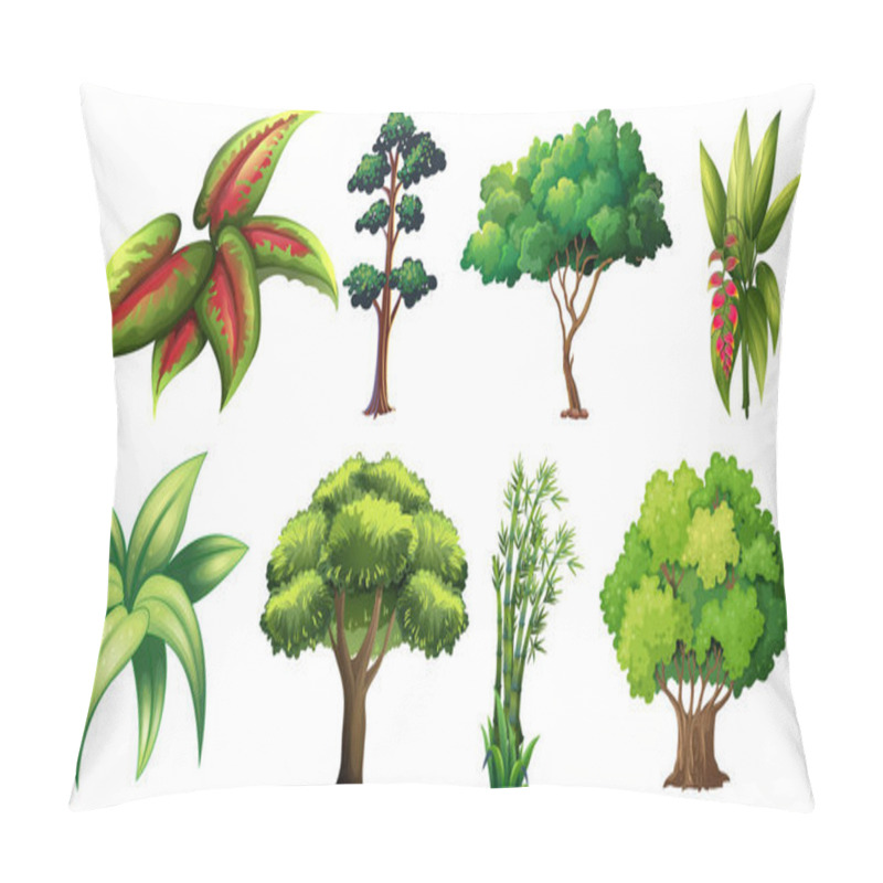 Personality  Set Of Variety Plants And Trees Illustration Pillow Covers