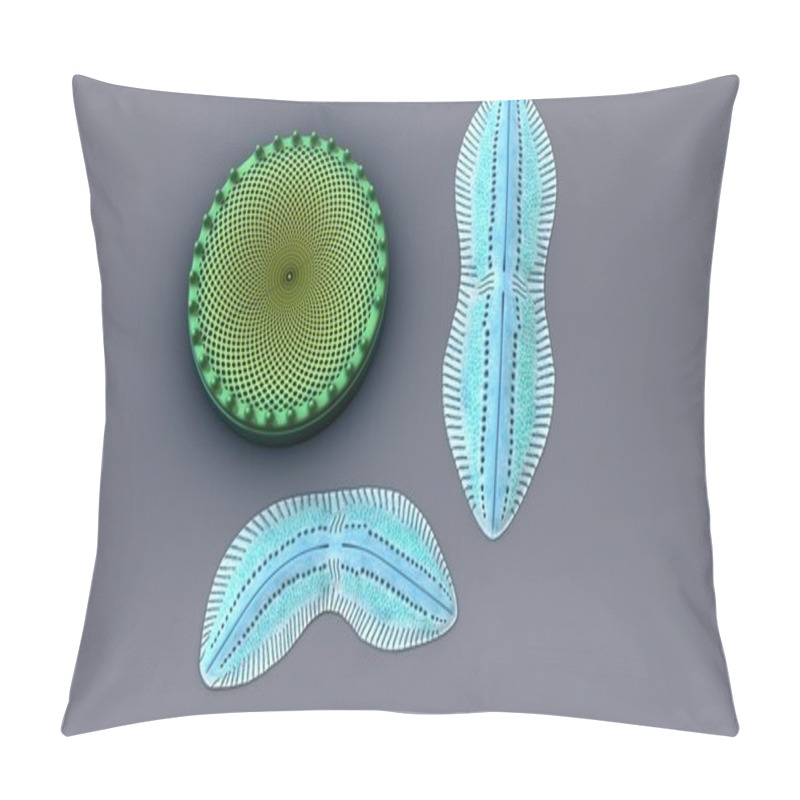 Personality  Diatoms, Unicellular Algae Pillow Covers