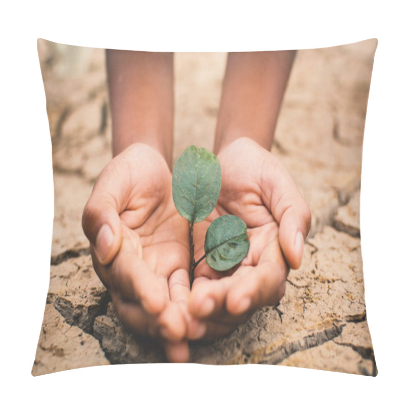 Personality  Hands Of Boy Save Little Green Plant On Cracked Dry Ground, Concept Drought And Crisis Environment Pillow Covers