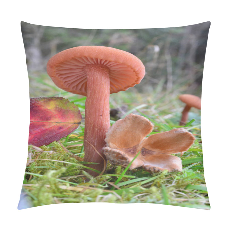 Personality  One Single Specimen Of Laccaria Laccata Or Waxy Laccaria Mushroom In Foreground And Another In Background, Size Compared With Red Leaf And Beech Acorn Next To It, Vertical Orientation, Natural Habitat Pillow Covers