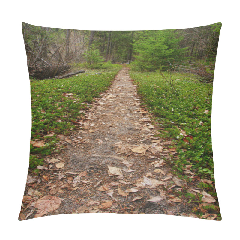 Personality  Straight Forest Path Pillow Covers