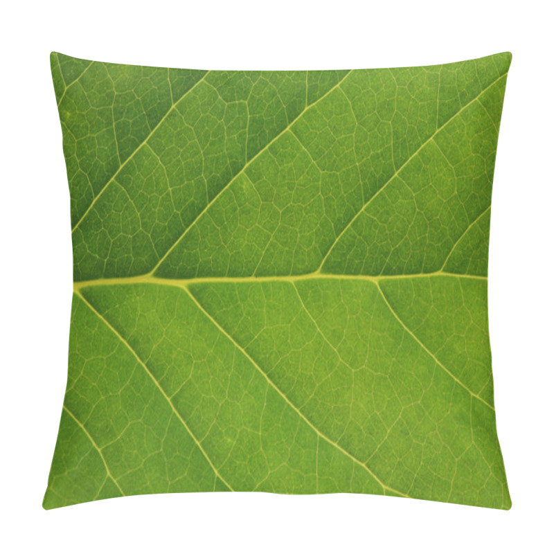 Personality  Fresh Tree Leaf Texture Pillow Covers