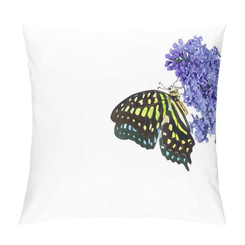 Personality  Colorful Spotted Tropical Butterfly On Blue Lilac Flowers In Water Drops Isolated On White. Graphium Agamemnon Butterfly. Green-spotted Triangle. Tailed Green Jay. Pillow Covers