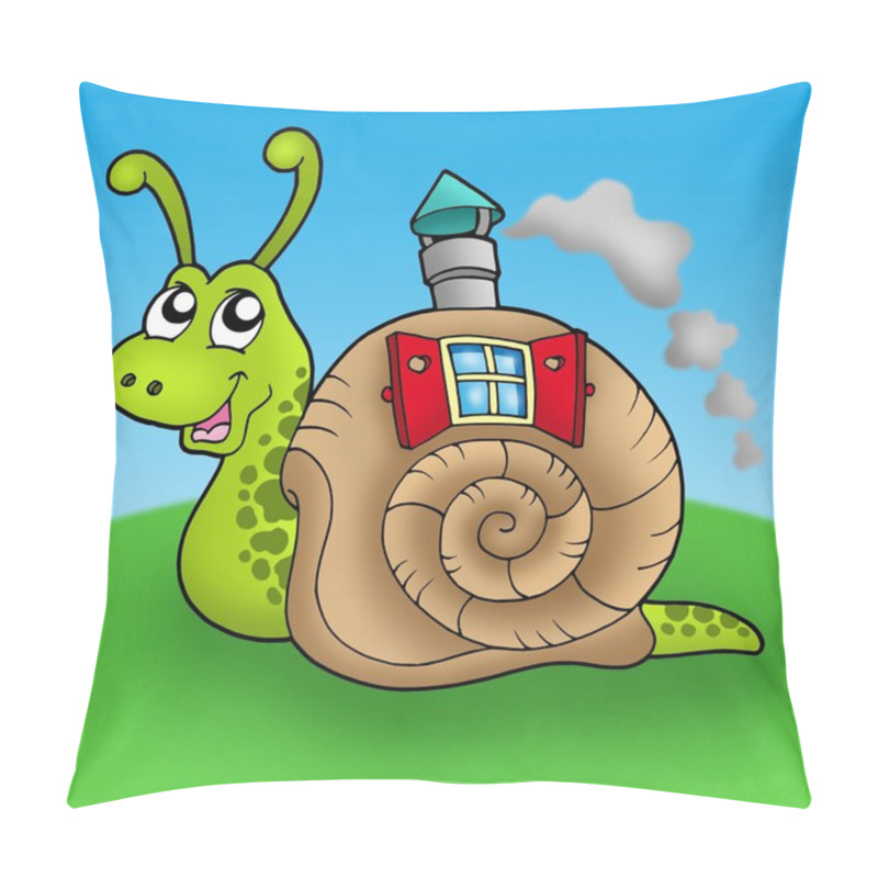 Personality  Snail With Shell House On Meadow Pillow Covers