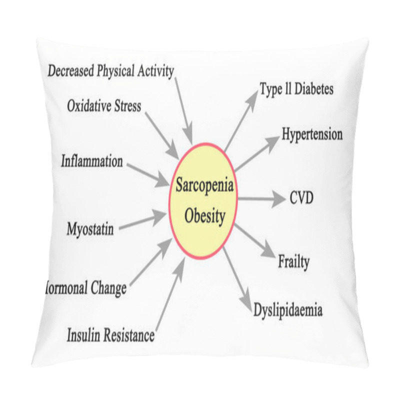 Personality   Causes And Consequences Of Sarcopenia Obesity Pillow Covers