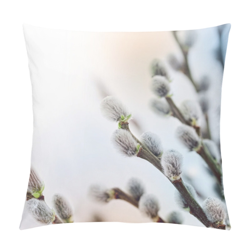 Personality  Pussy Willow Flowers In Spring Pillow Covers