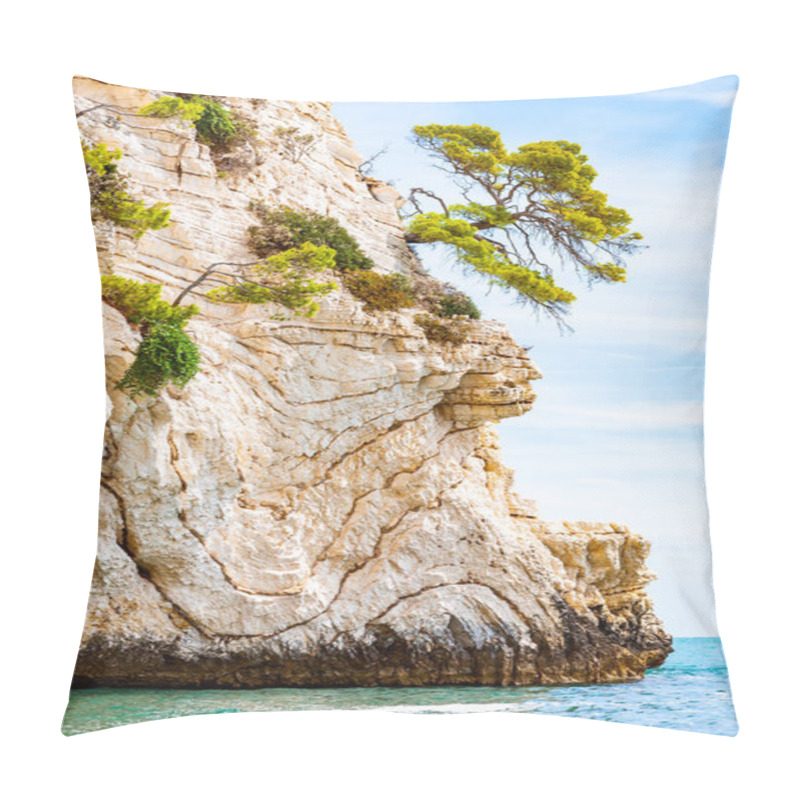 Personality  Beautiful Pebble Beach Surrounded By High Massive White Limestone Rocky Cliffs Eroded By Adriatic Sea Waves And Wind. Green Aleppo Pines Growing On The Rocks. Emerald Water Washing The Coastline Pillow Covers