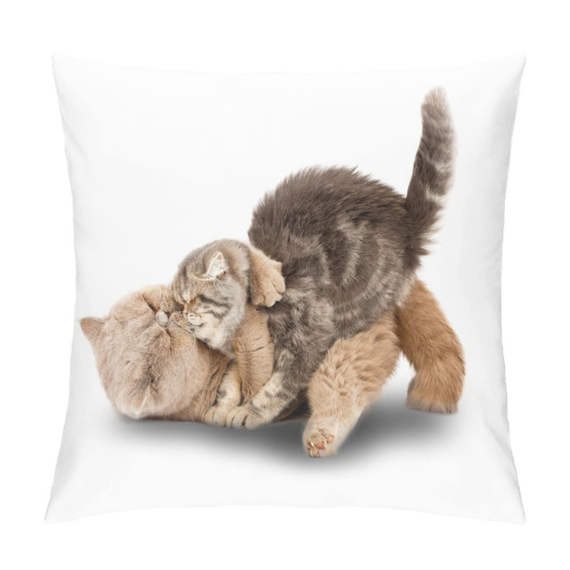 Personality  Cats Kissing Pillow Covers