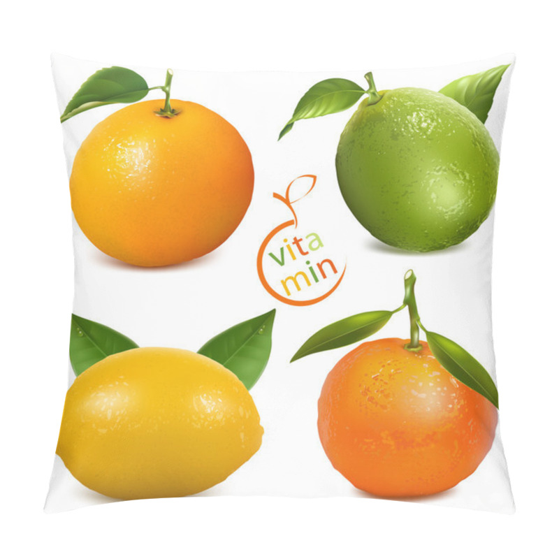 Personality  Orange, Lime, Tangerine And Lemon. Pillow Covers