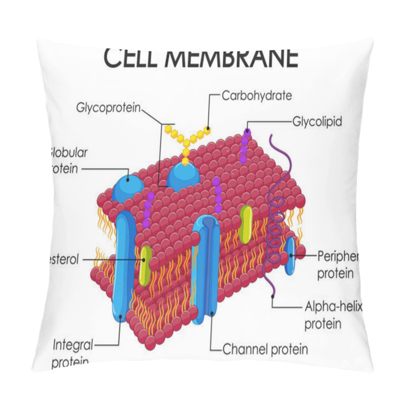 Personality  Human Cell Membrane Structure  Illustration Pillow Covers