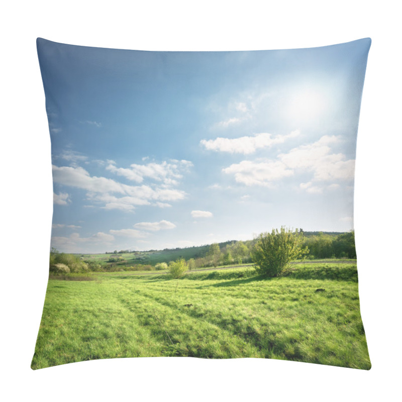 Personality  Country Road In A Meadow Pillow Covers