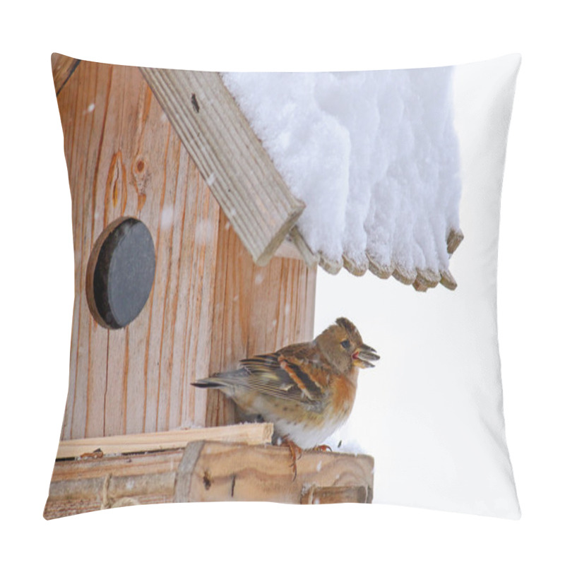 Personality  The Brambling Bird With Sunflower Seed In Its Beak, Perching On A Wooden Bird Feeder Pillow Covers