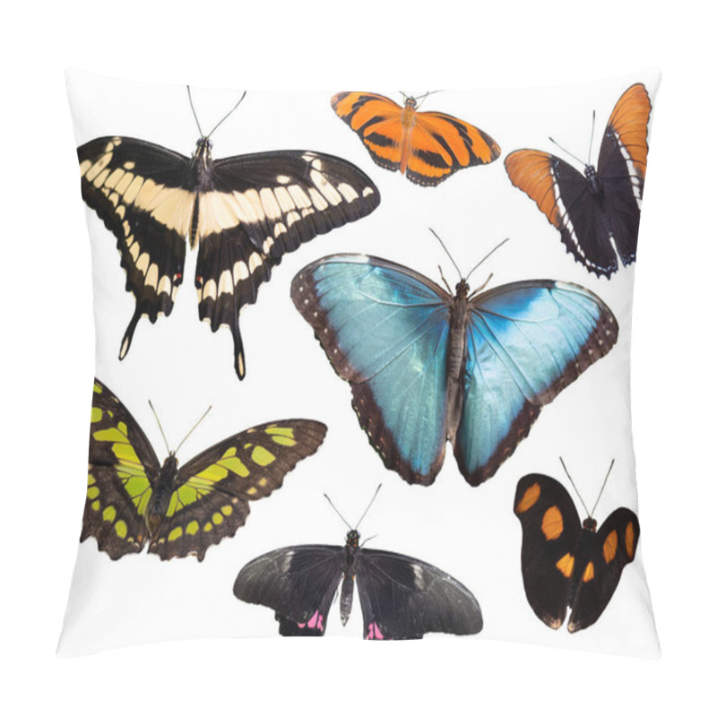 Personality  Various Tropical Butterflies Isolated On White Background Pillow Covers