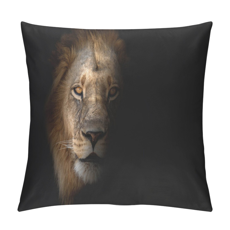 Personality  Big Male Lion Portrait Looking At Camera. Wild Animal In The Nature Habitat. African Wildlife. Panthera Leo. Pillow Covers