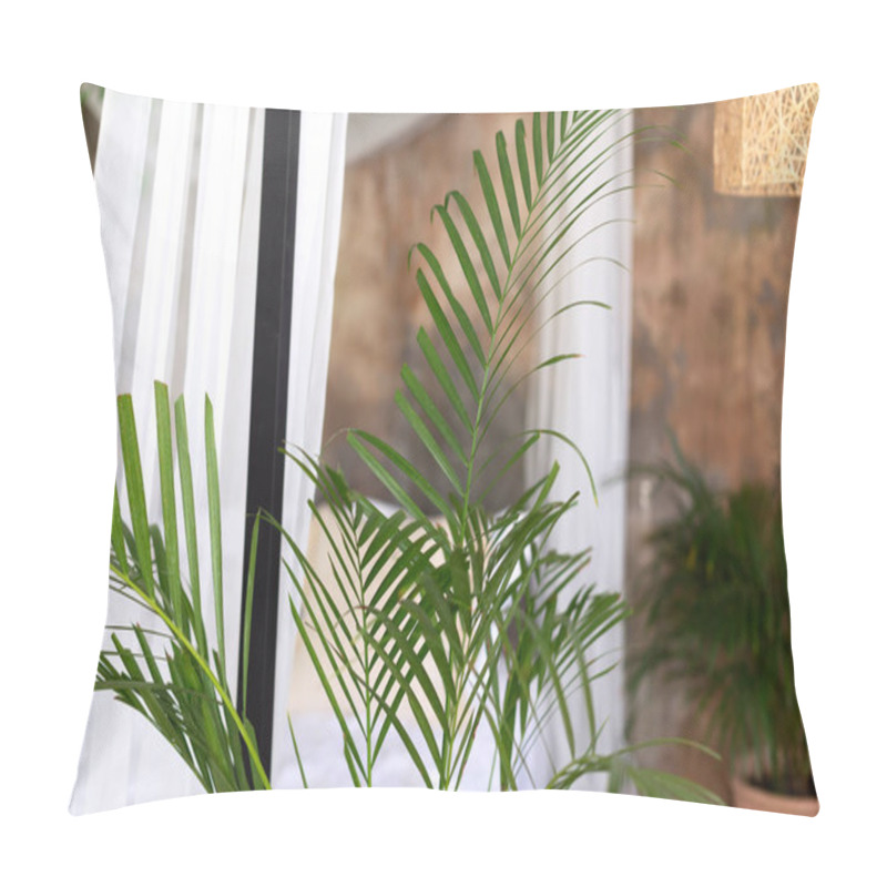 Personality  Hamedorea Green Palm Tree, Landscaping Office Or Home Concept, Homeplant Care, Chamaedorea Elegans. Closeup On The Leaves Of A Dypsis Lutescens, Areca Palm, Cane Palm, Butterfly Palm.  Pillow Covers