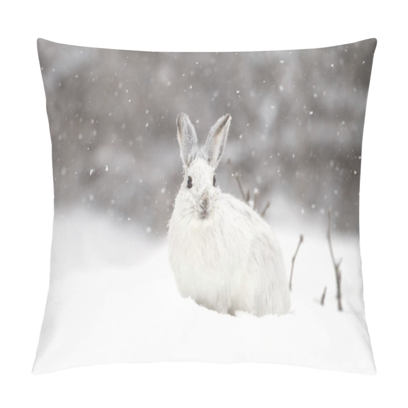 Personality  Snowshoe Hare (Lepus Americanus) In The Falling Snow Pillow Covers