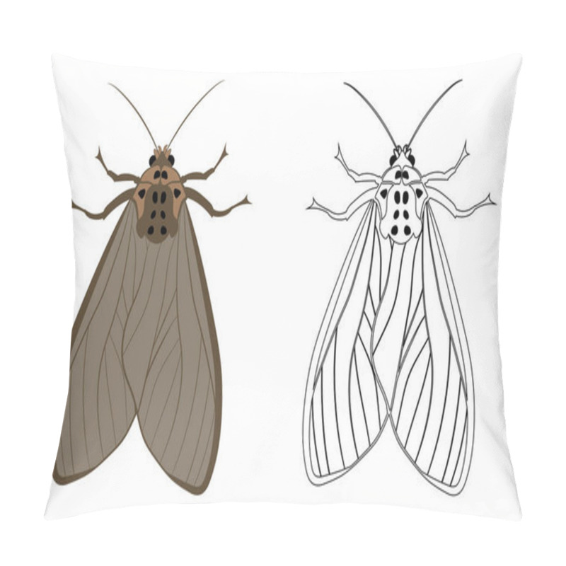 Personality  Realistic Illustration Of Moth Or Butterflies. Isolated On White Background. Insects Bugs Worms Pest And Flies. Pillow Covers