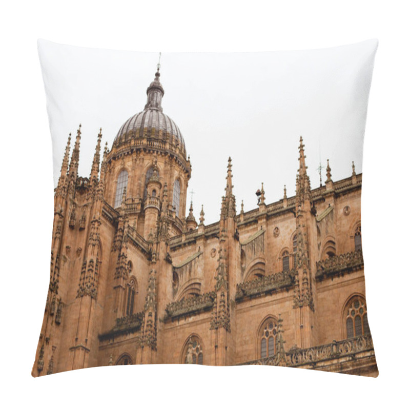 Personality  View Of Cathedral Of Salamana Pillow Covers