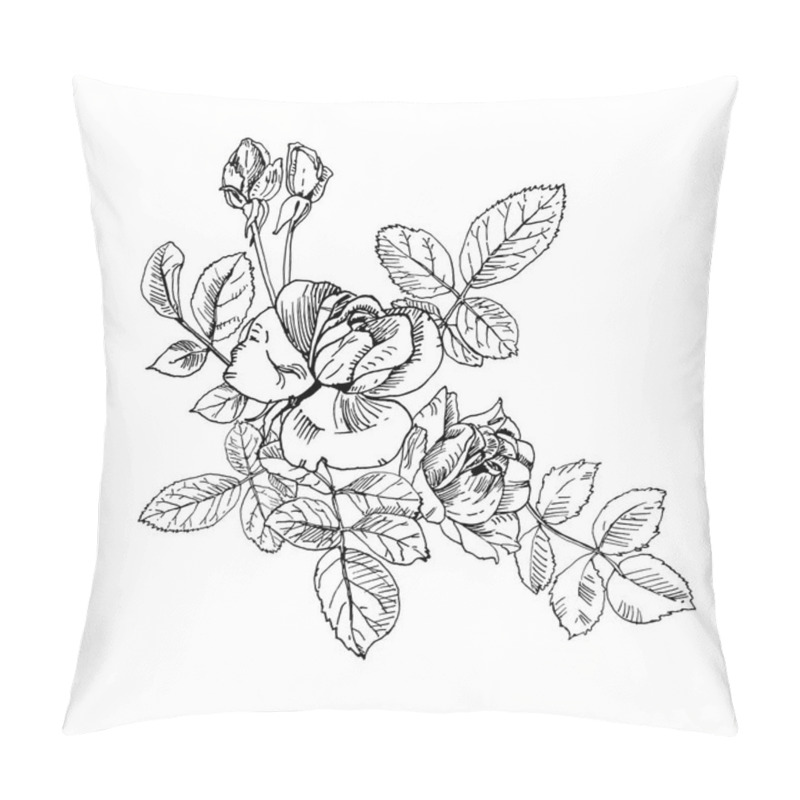 Personality  Black Ink Wild Rose Plant With Flowers And Buds Bouquet. Hand Drawn Tattoo Like Vector, Etch Style. Buds, Leaves, Stem And Elegant Flowers. Pillow Covers