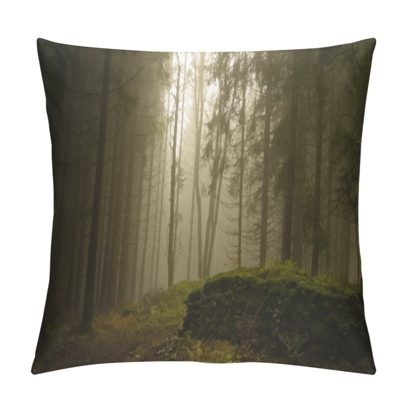 Personality  Foggy Forest, Light Coming Through Trees, Stones, Moss, Wood Fern, Spruce Trees. Gloomy Magical Landscape At Autumn/fall. Jeseniky Mountains, Eastern Europe, Moravia.  Pillow Covers