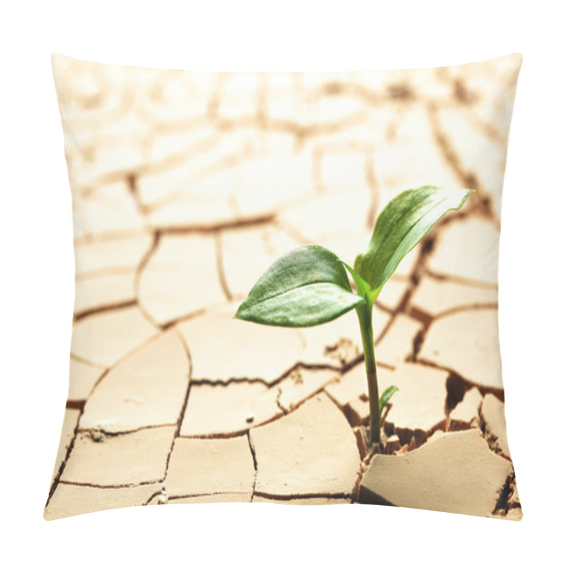 Personality  Plant In Dried Cracked Mud Pillow Covers