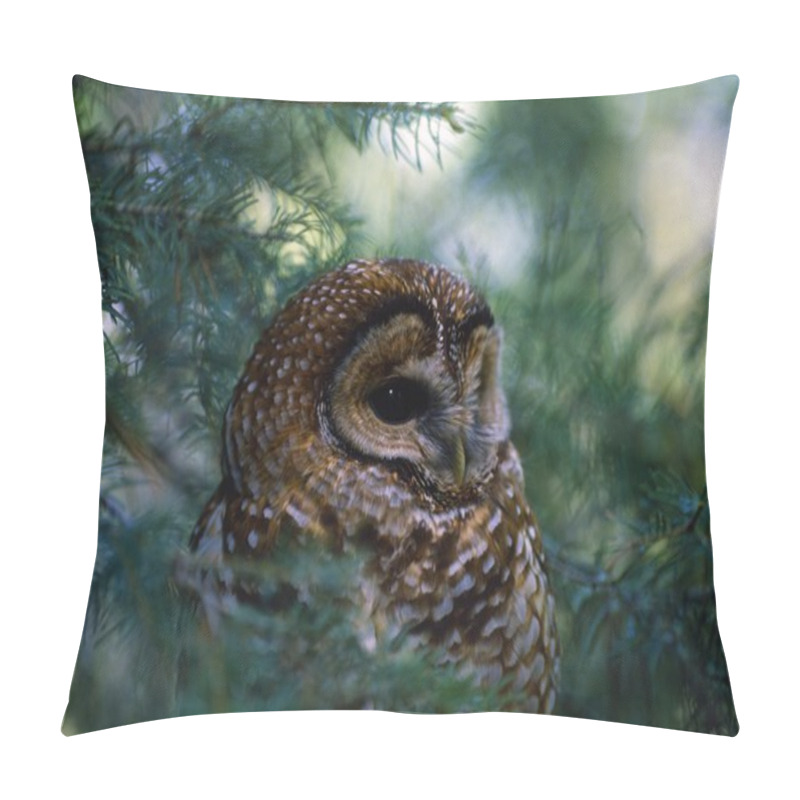 Personality  Mexican Spotted Owl In Tree Pillow Covers