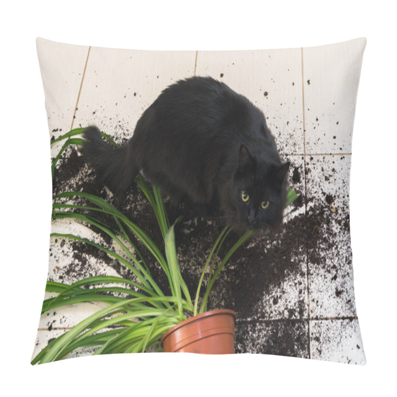 Personality  Black Cat Dropped And Broke Flower Pot With Green Plant On The Kitchen Floor With Dirt All Over Tiles. Concept Of Damage From Pets Pillow Covers