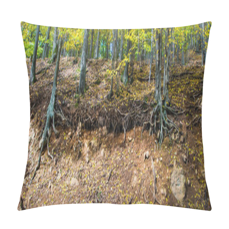 Personality  Trees Growing In Forest Pillow Covers