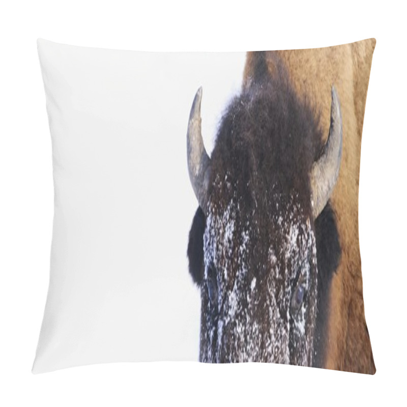 Personality  Bison In Winter Pillow Covers